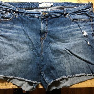 Torrid Distressed Cut Off Shorts